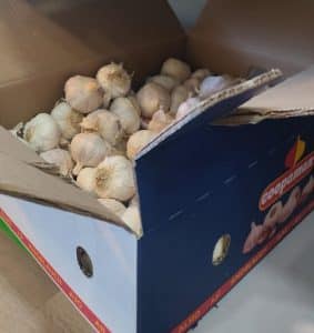 ajo de las pedroneras