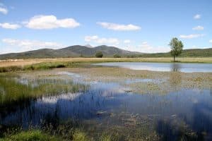 sierra norte Guadalajara