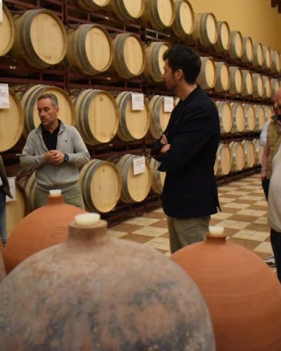 BODEGAS ILLANA (3)