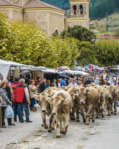 Feria de los Santo. Javier Franco (1)