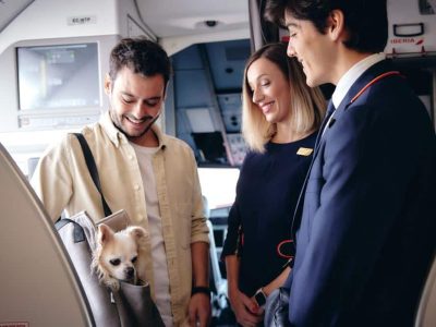 Iberia_airlines-mascotas-ref207273