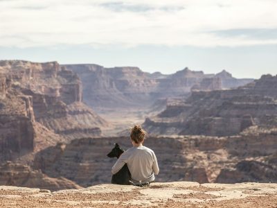 Travelwithpet