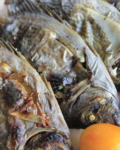 fish-5328595_1280