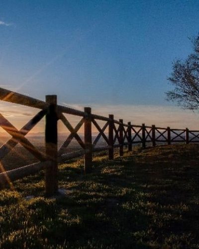 image_gallery image_gallery