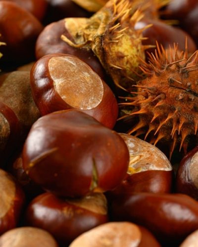 pexels-jankao-9945725